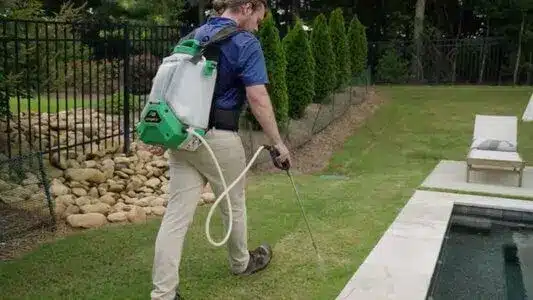 Pool pest control treatment